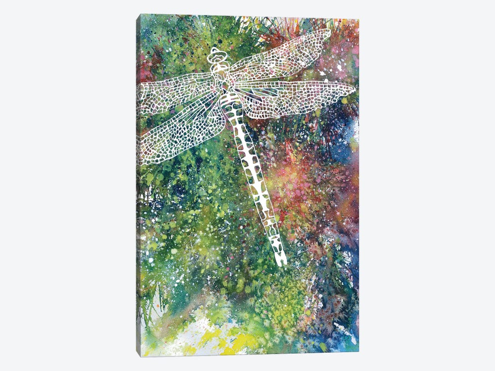 Dragonfly by Michelle Faber 1-piece Canvas Art