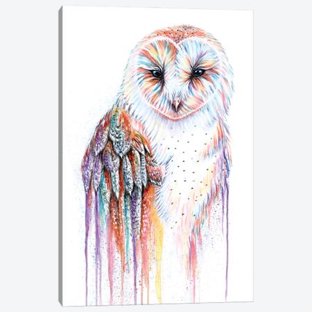 Barred Rainbow Owl Canvas Print #FAB1} by Michelle Faber Canvas Artwork