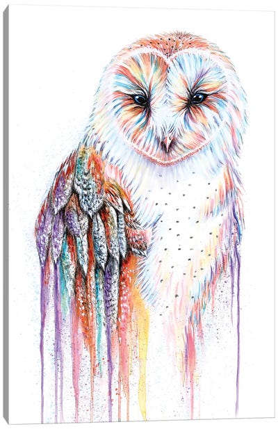 Barred Rainbow Owl Canvas Art Print - Michelle Faber