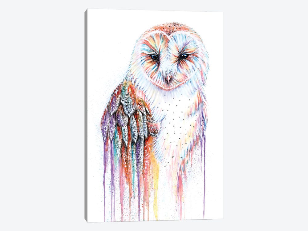 Barred Rainbow Owl by Michelle Faber 1-piece Canvas Art Print