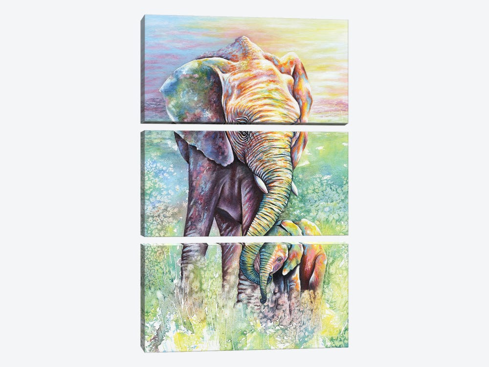 Mother & Baby Elephant Rainbow Colors by Michelle Faber 3-piece Canvas Print