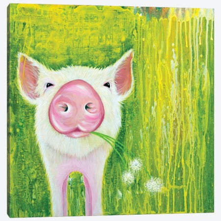 Pig Canvas Print #FAB39} by Michelle Faber Art Print