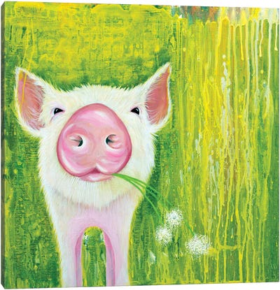 Pig Canvas Art Print - Michelle Faber