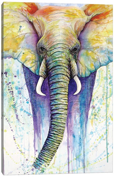 Elephant Colors Canvas Art Print - Michelle Faber