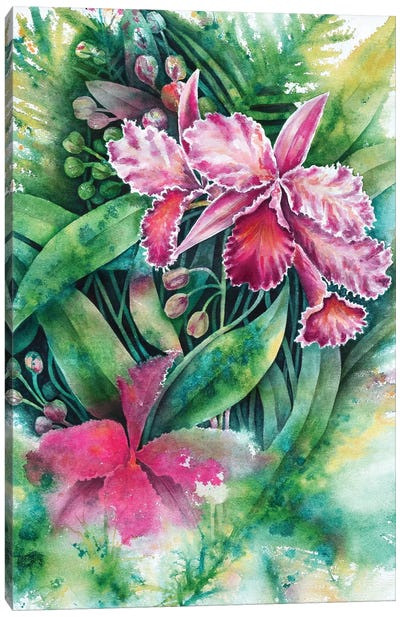 Pink Orchid Canvas Art Print - Michelle Faber