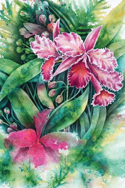Orchids: Pink Orchid by Michelle Faber