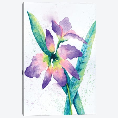 Purple Orchid Canvas Print #FAB42} by Michelle Faber Canvas Wall Art