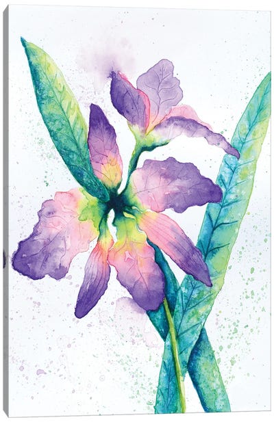 Purple Orchid Canvas Art Print - Michelle Faber