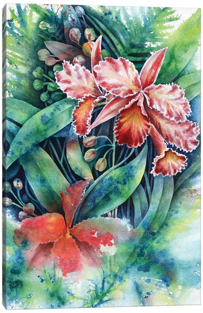Red Orchid Canvas Art Print - Michelle Faber