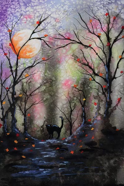 Black Cats: Black Cat In Forest by Michelle Faber