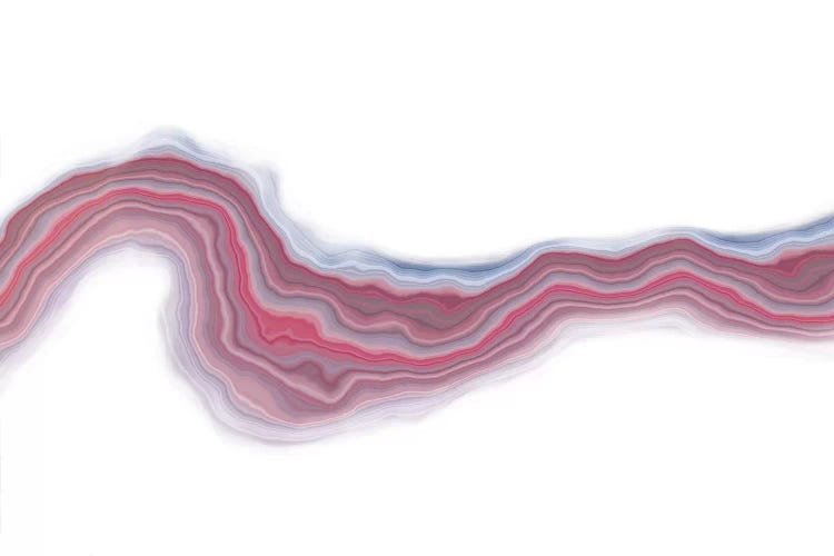 Rose Velocity by 5by5collective wall art
