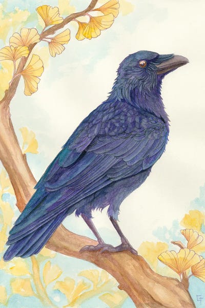 Crows: Perching Crow by Might Fly Art & Illustration