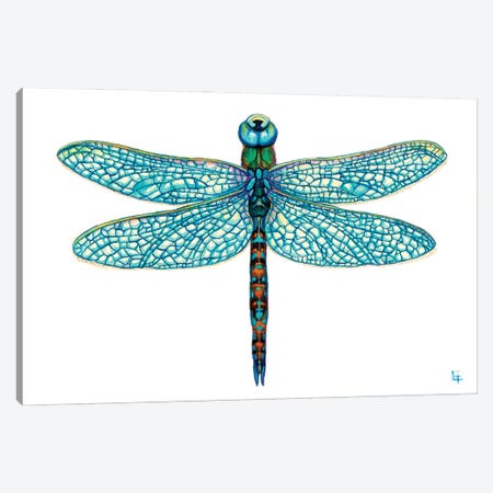 Dragonfly Canvas Print #FAI109} by Might Fly Art & Illustration Canvas Art Print
