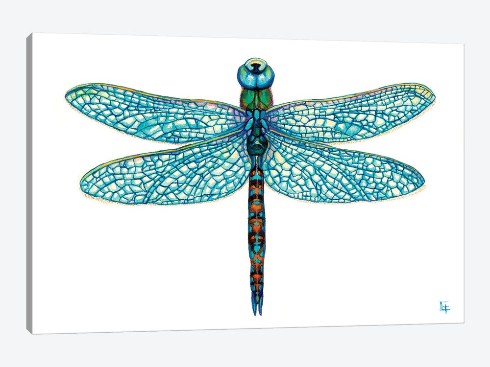 Dragonfly Canvas Wall Art by Might Fly Art & Illustration | iCanvas