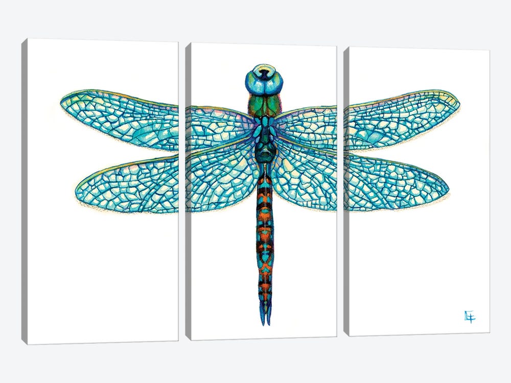 Dragonfly by Might Fly Art & Illustration 3-piece Canvas Print