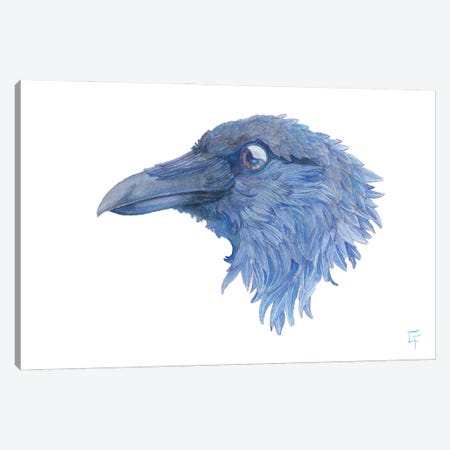 Raven Canvas Print #FAI111} by Might Fly Art & Illustration Canvas Art