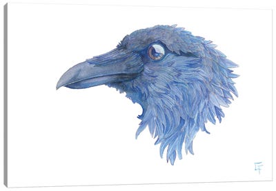 Raven Canvas Art Print - Might Fly Art & Illustration
