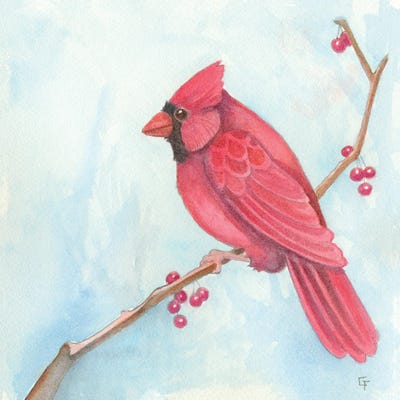 Cardinal by Might Fly Art & Illustration art print