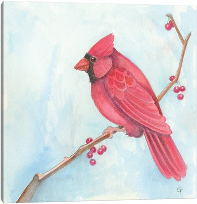Cardinal Canvas Art Print - Might Fly Art & Illustration