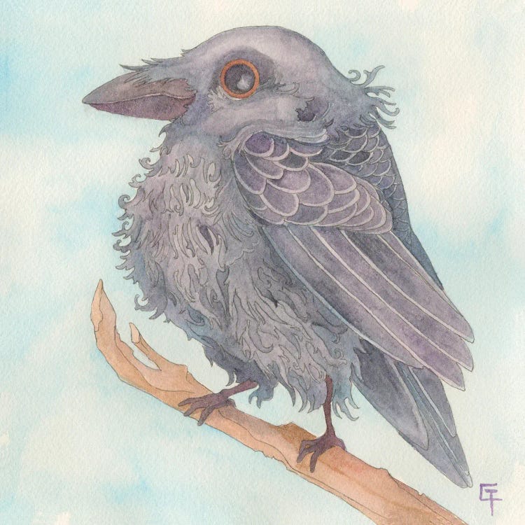 Cute Crow by Might Fly Art & Illustration wall art