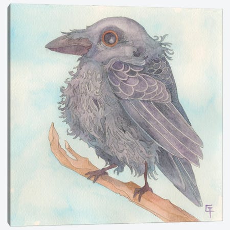 Cute Crow Canvas Print #FAI117} by Might Fly Art & Illustration Canvas Print