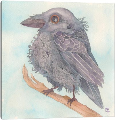Cute Crow Canvas Art Print - Crow Art