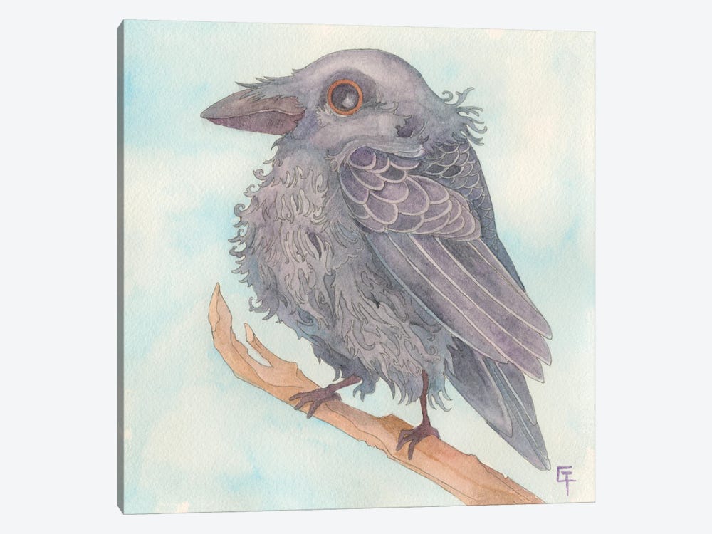Cute Crow by Might Fly Art & Illustration 1-piece Canvas Art