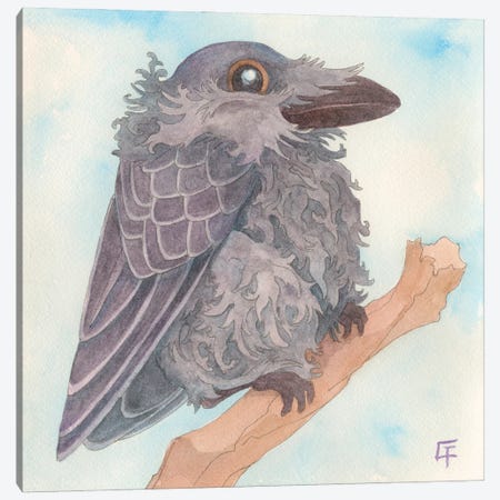 Cute Raven Canvas Print #FAI118} by Might Fly Art & Illustration Canvas Artwork