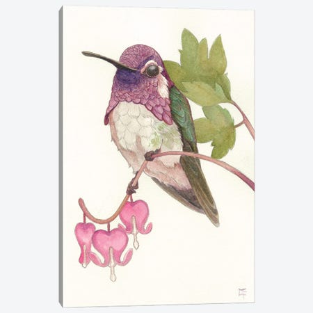 Costa's Hummingbird Canvas Print #FAI126} by Might Fly Art & Illustration Canvas Art