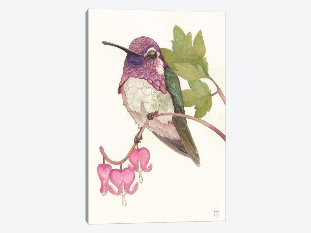 Costa's Hummingbird by Might Fly Art & Illustration 1-piece Canvas Wall Art