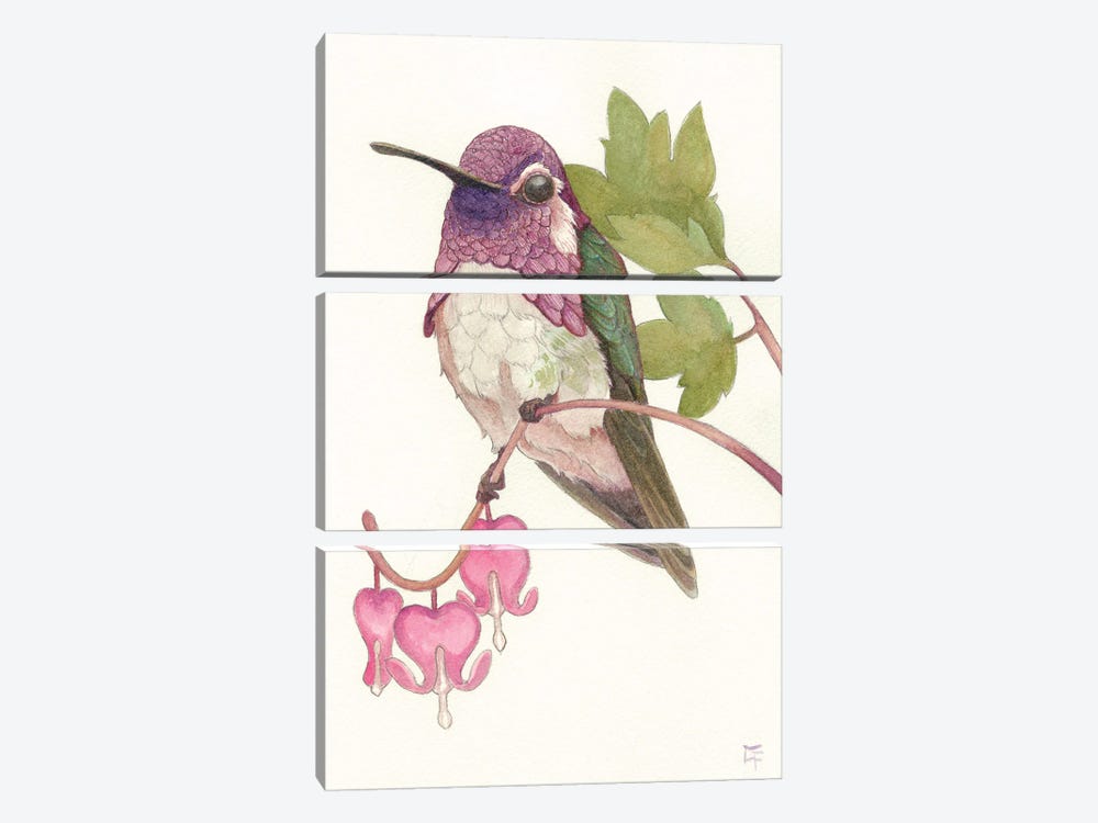 Costa's Hummingbird by Might Fly Art & Illustration 3-piece Canvas Wall Art