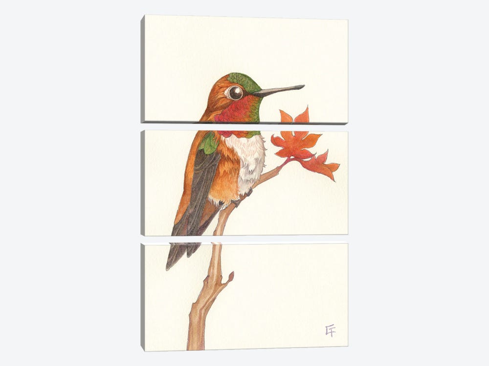 Rufous Hummingbird by Might Fly Art & Illustration 3-piece Canvas Wall Art