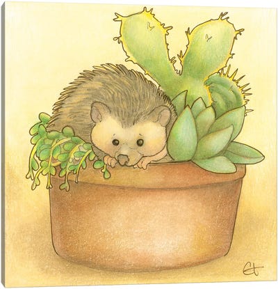 Hedge and Go Seek Canvas Art Print - Hedgehogs