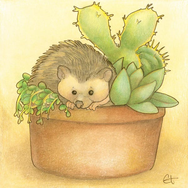 Hedgehogs: Hedge and Go Seek by Might Fly Art & Illustration