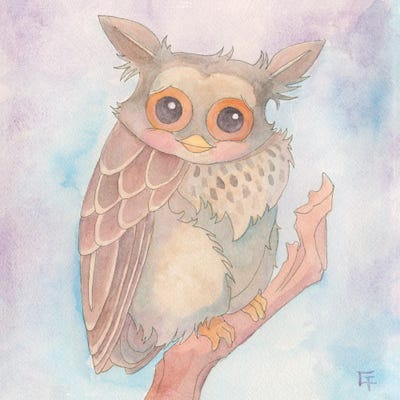 Shy Owl by Might Fly Art & Illustration canvas print