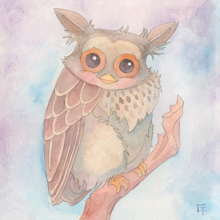 Shy Owl