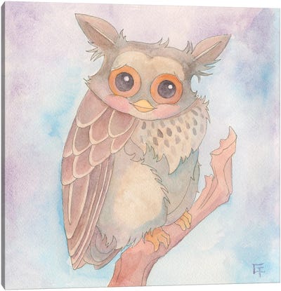 Shy Owl Canvas Art Print - Might Fly Art & Illustration