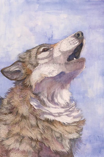 Lakehouse Décor: Song by Might Fly Art & Illustration