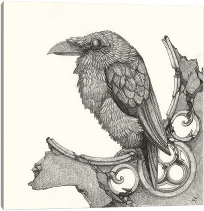 A Stately Raven Canvas Art Print - Might Fly Art & Illustration