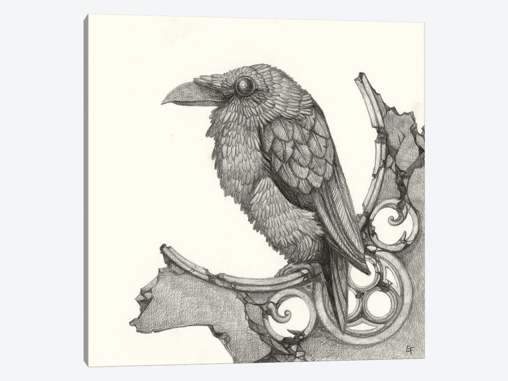 A Stately Raven by Might Fly Art & Illustration 1-piece Canvas Art Print
