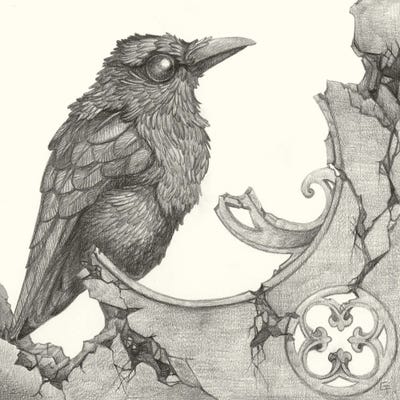 Caws And Stories by Might Fly Art & Illustration canvas print