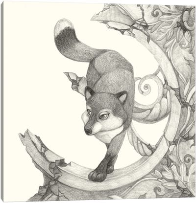 Outfoxed Canvas Art Print - Might Fly Art & Illustration