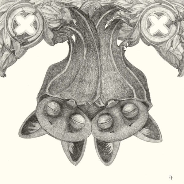 Bats: Wing To Wing by Might Fly Art & Illustration