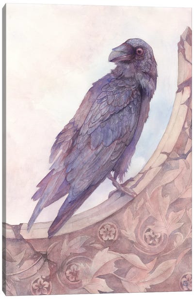 Amoung The Ruins Canvas Art Print - Raven Art