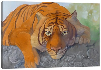Gaze Canvas Art Print - Tiger Art