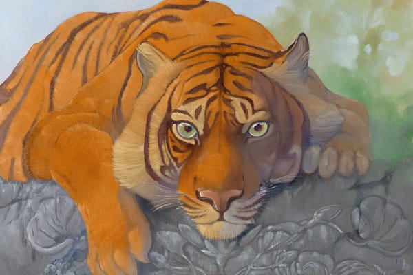 Tigers: Gaze by Might Fly Art & Illustration