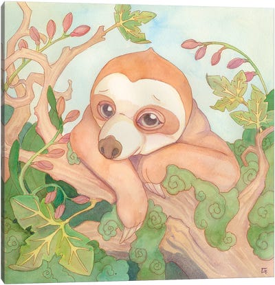 Taking Time Canvas Art Print - Sloth Art