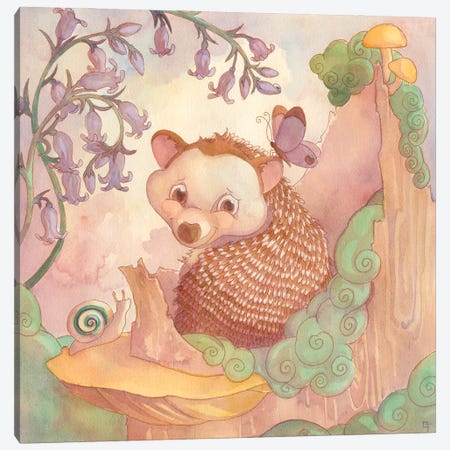 The Hedgehog's Garden Canvas Print #FAI157} by Might Fly Art & Illustration Canvas Print