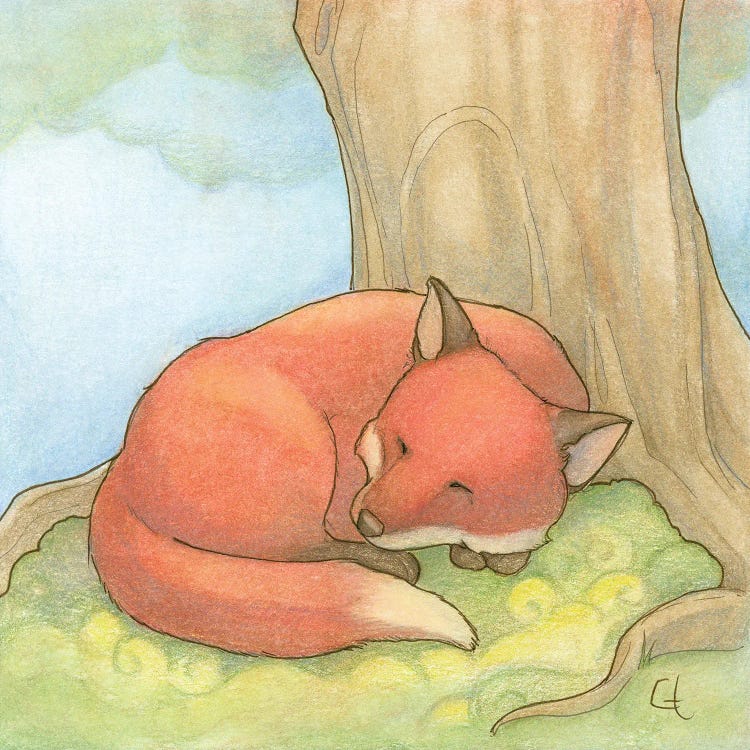 Sleepy Fox