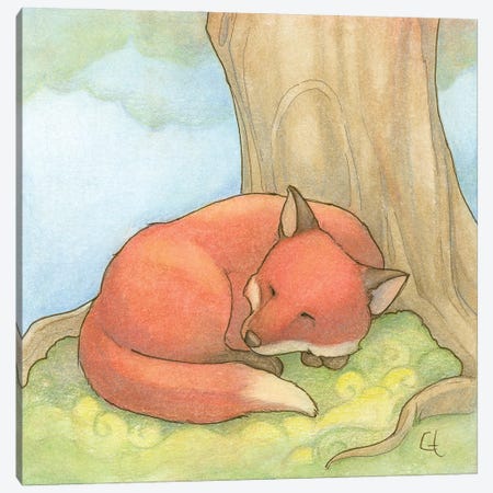 Sleepy Fox Canvas Print #FAI16} by Might Fly Art & Illustration Canvas Art Print